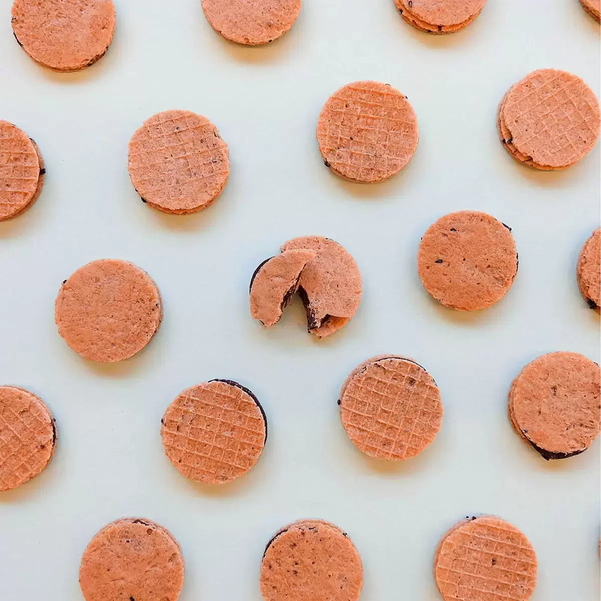 Tropical Fields Coconut Wafer Thins with Dark Chocolate, 397g