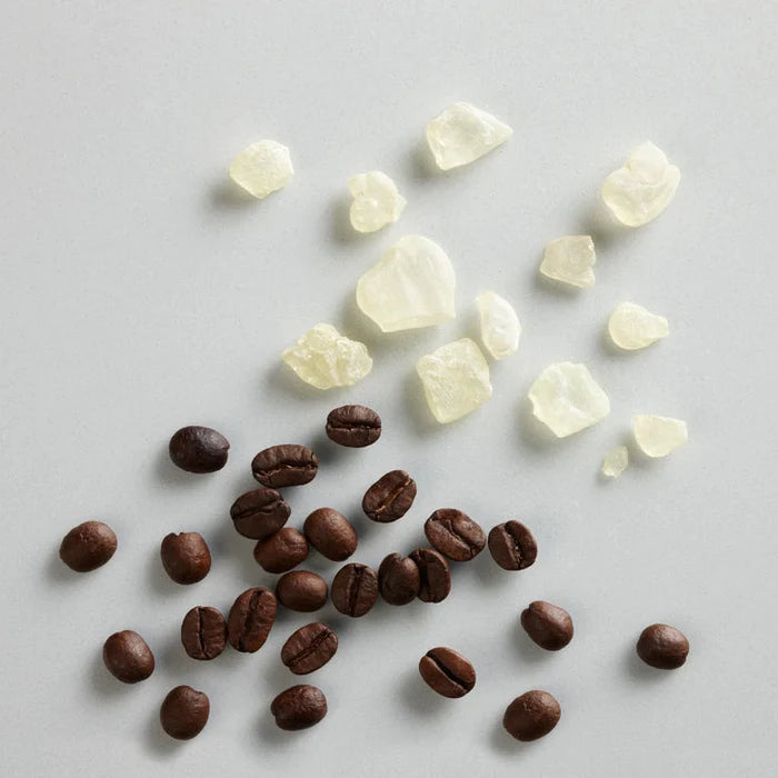 Coffee beans and white stones on a light gray background